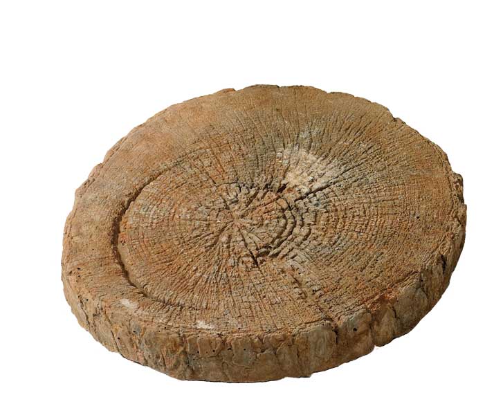 Smartstone Tree Ring