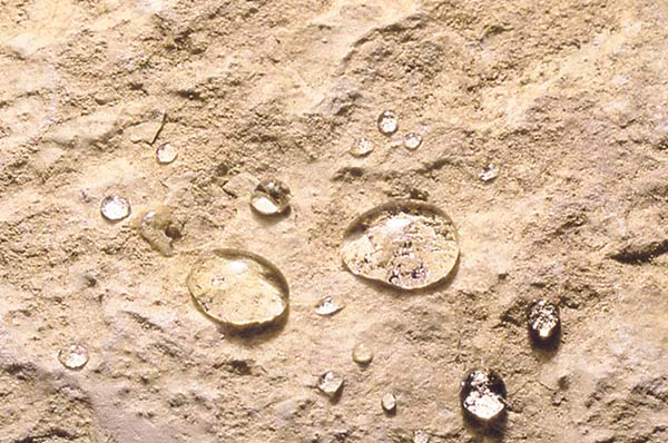 beeding effect SmartGuard