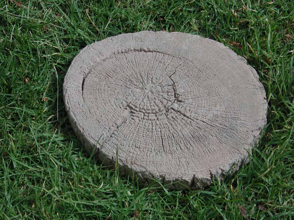 Tree Ring stepping stones